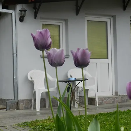 Apartment-Studio Downtown Dudanovi Охрид Екстериор снимка