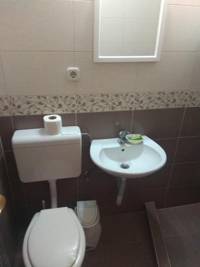 Апартамент Apartment-studio Downtown Dudanovi *