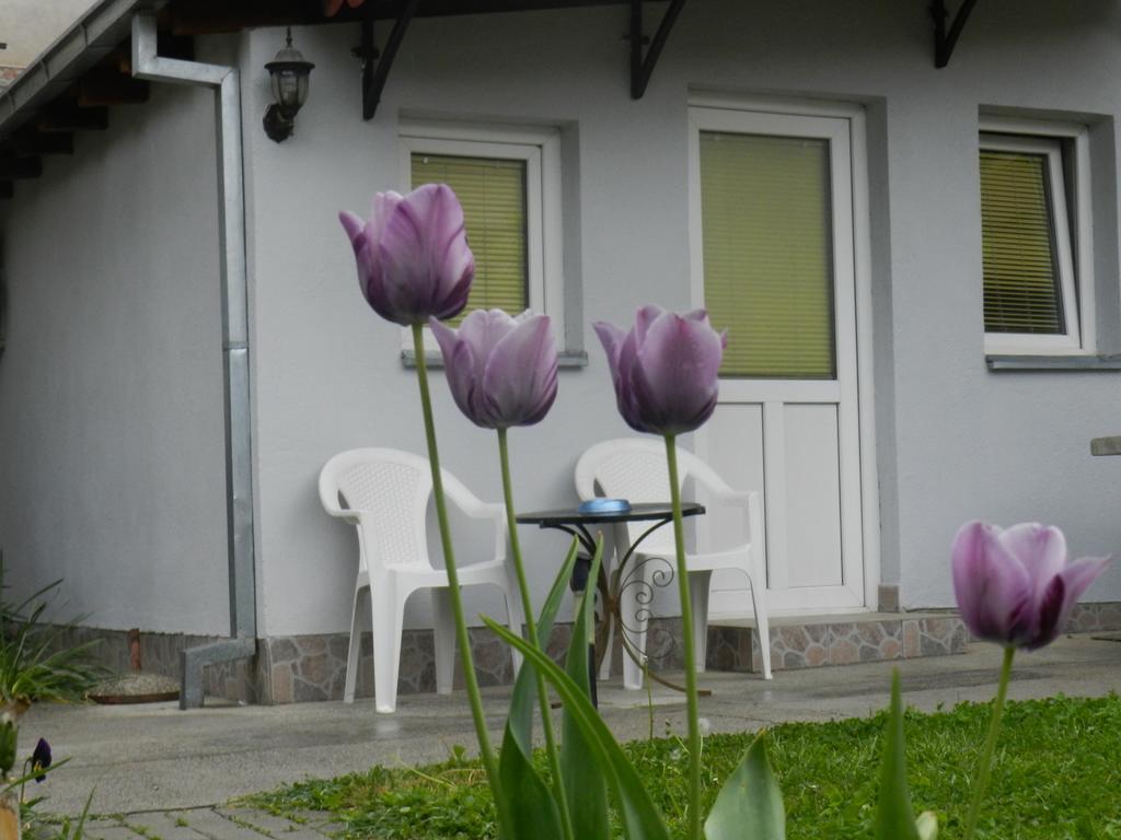 Apartment-studio Downtown Dudanovi